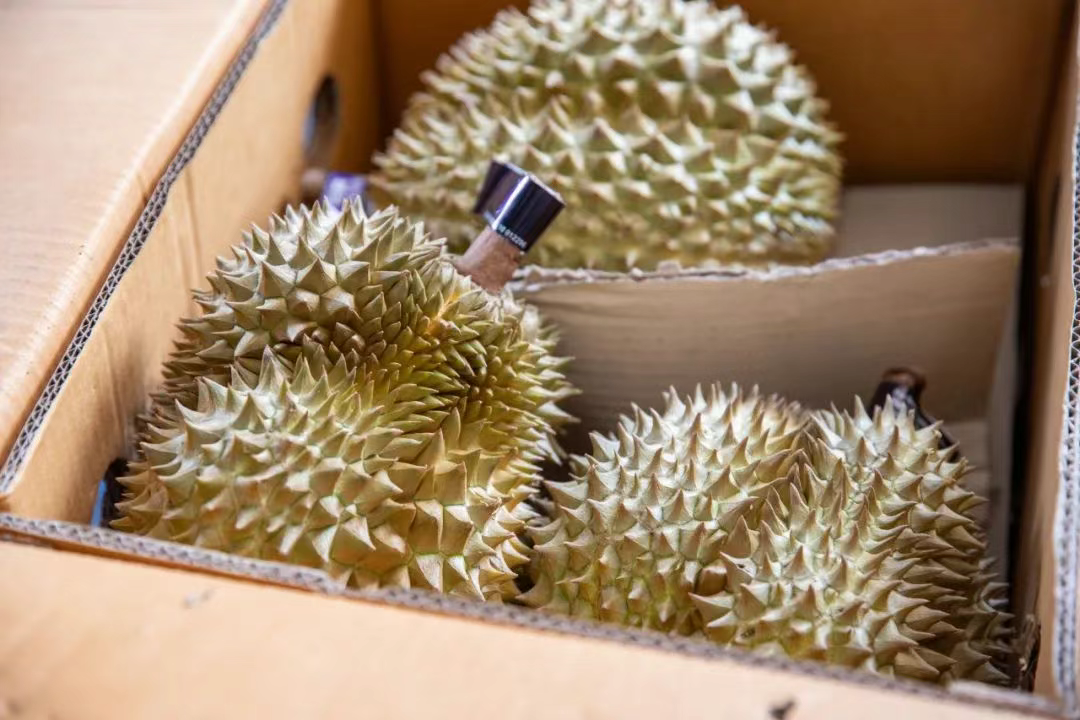 成都加速打造东南亚鲜果走廊